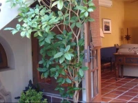 2 Bedroom House Fn403 