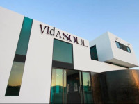 Vidasoul