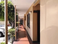 Hotel Flamingos 