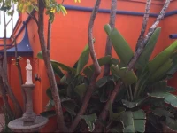Ocean front 3Bedroom & 2Bath house 