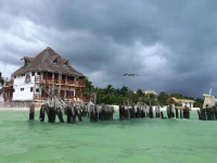 Golden Paradise Beach 