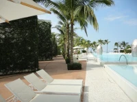 Icon Vallarta 