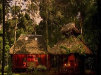 Amazon Villa