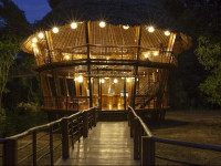 Treehouse Lodge