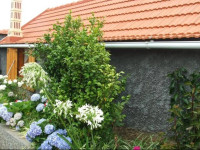 Casa Belladonna