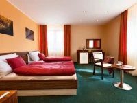 Hotel Viktor 3*