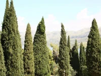 Villa Anka 3*