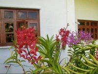 Orchid Selfcatering 