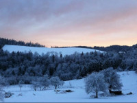Guest House Veronika