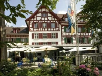 Hotel Hofgarten Luzern 4*