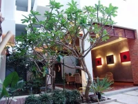 Frangipani Fine Arts 3*