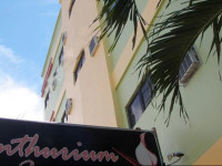 Anthurium Inn