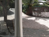 Le Pin Parasol 