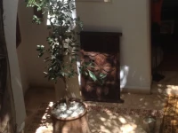 Riad Mariana 