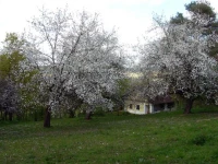 Haus Eveline 