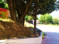 LAlivetu 3*