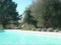 Gite Platane 