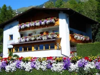 Ferienhaus Sonnenhang 3*