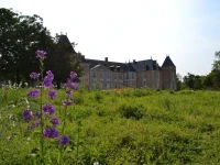 Chateau De Panloy 