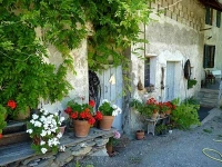 Domaine de la Safraniere 