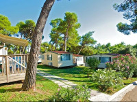 Camping Indije