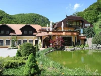 Guesthouse Villa Zelenjak Ventek 3*