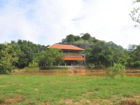 Wild Grass Nature Resort