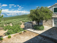 Pipo Holiday Home