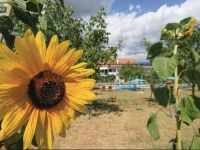Ruzic Holiday Home 3*