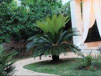 Villa Las Damas 