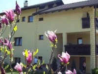 Ivsic Guest House 1*