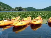 Feel Lake 