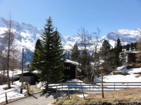 Chalet Schonbuhl