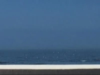 Skulpie Jacobsbaai 