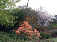Kuhestan Farm Cottages 