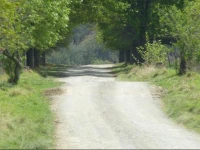 Milky Lane Cottage 