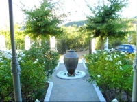 Goodings Groves Olive Farm 