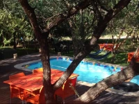 Bush Pub & Inn 