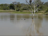 Nkelenga Tented Camp 