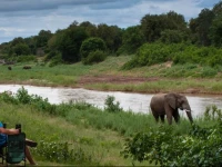 Maninghi Lodge 