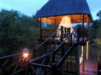 Lion Tree Bush Lodge 