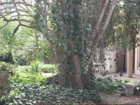Guesthaven B&B 