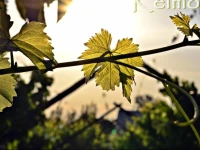 Tkabies Camping & Self-catering 