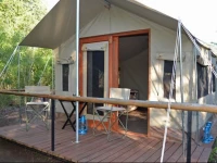 The Wild Olive Tree Camp 