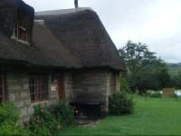 Wyford Farm 