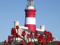 South of Africa Self Catering Guest Cottage 