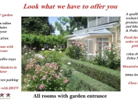 Albert House B&amp;B 