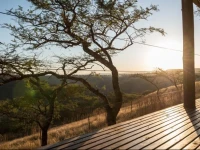The Hilton Bush Lodge 