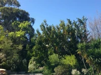 Constantia Oasis 
