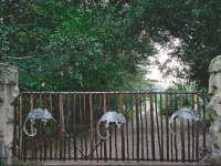 Peace of Eden Eco Forest Retreat 